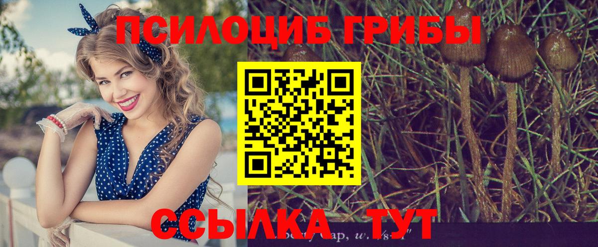Канаш  наркотики  Галлюциногенные грибы Psilocybe  Вход с VPN  Галлюциногенные грибы Cubensis 